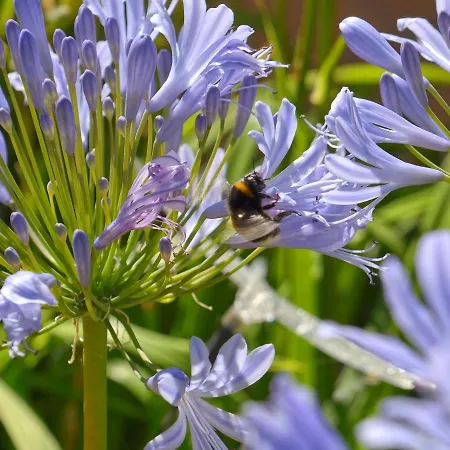 Le Clos Du Piheux Thorigné-dʼAnjou