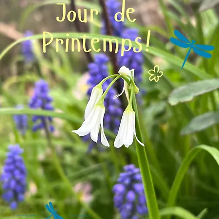 克洛斯都费卢克斯住宿加早餐旅馆 招待所 3*