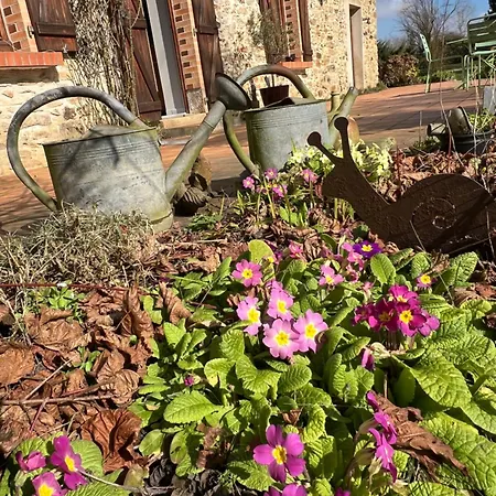 克洛斯都费卢克斯住宿加早餐旅馆 3*