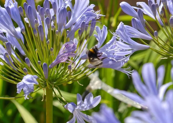 Le Clos Du Piheux Thorigne-d'Anjou