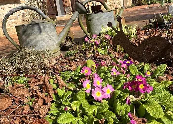 克洛斯都费卢克斯住宿加早餐旅馆 3*